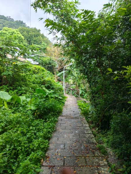 貴子坑報山步道2849847