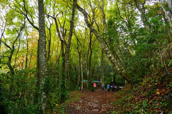 霞喀羅古道養老段500556