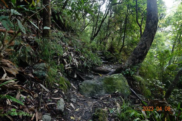 苗栗 泰安 虎山2107197