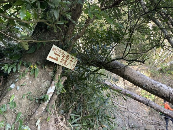 崁頭山&竹子尖山2964392