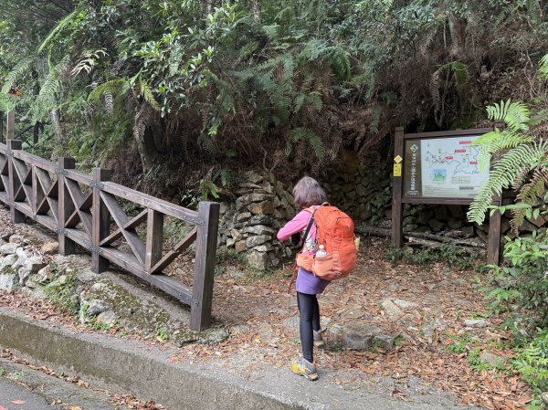 鳶嘴山+稍來神木 202508302873846