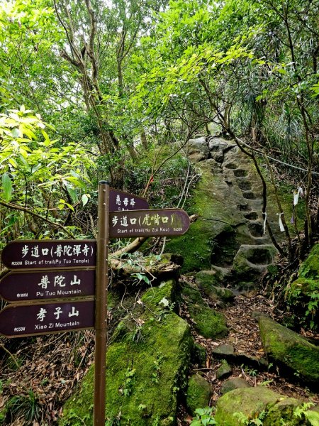 (五分山系)平溪小黃山-2025微笑山線大縱走尋寶集章任務2855298