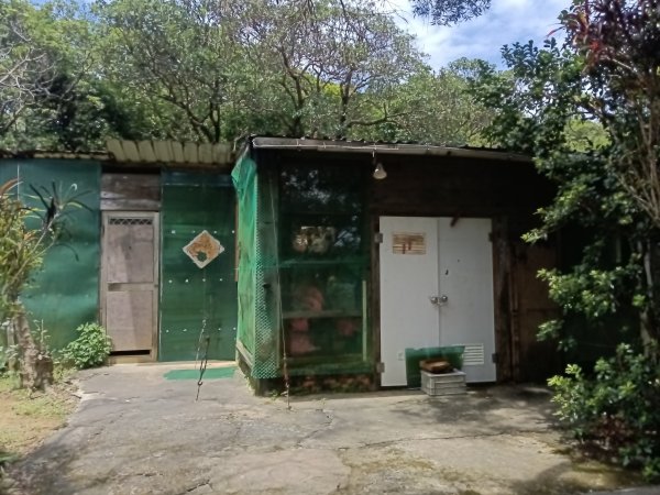 瑞芳區長青早起會觀景+碧峰岩步道2854008