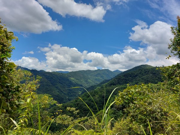 眉冷山梅島山202208071797248