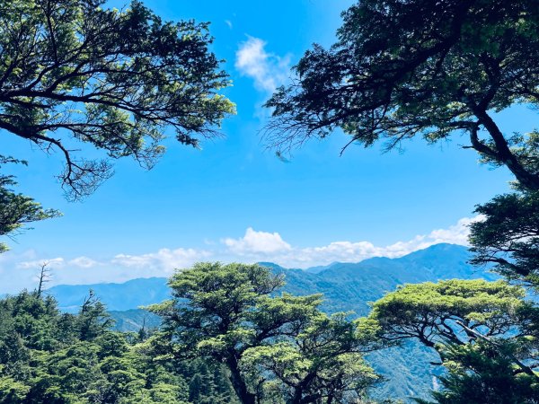 20260531觀霧榛山登山步道（榛山北峰+主峰+環形步道）3071479
