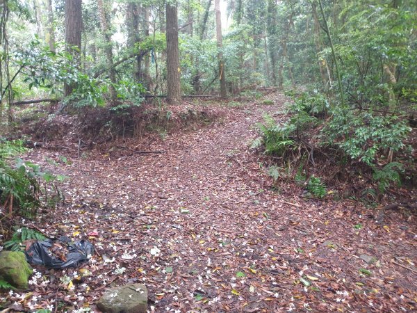 20220430協雲宮起登走新田山步道(新石門山、和興山、沖庫山)+八角崠山1732843