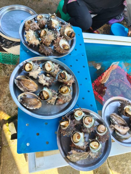 韓國濟州島：城山日出峰2912822