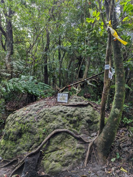 2023-10-22 臺北大縱走第四段2792962