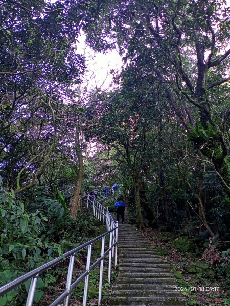 三訪小百岳 #012 汐止大尖山、龍船洞步道、秀峰瀑布【小百岳集起來】2406224