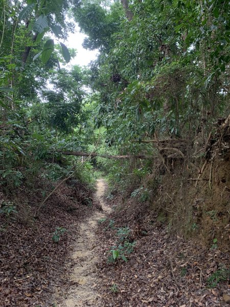 20250906台南糞箕湖山2881422