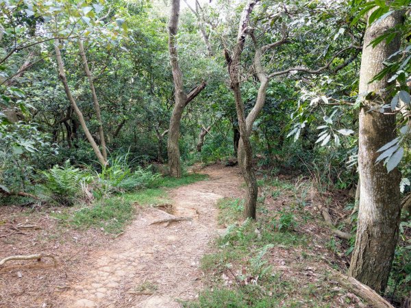 再訪十八尖山(小百岳#26)都會公園踏青943297