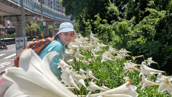 (姨婆趴趴走)第五十三集:攀登連走台北內湖三山(白鷺鷥山、康樂山、明舉山)