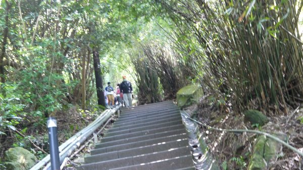 觀音山登山健行趣(小百岳05號)1632334