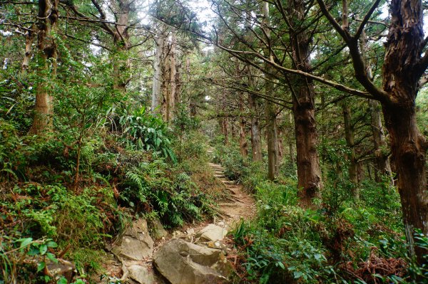 臺中 和平 大崠山、長壽山、醜崠山3028310