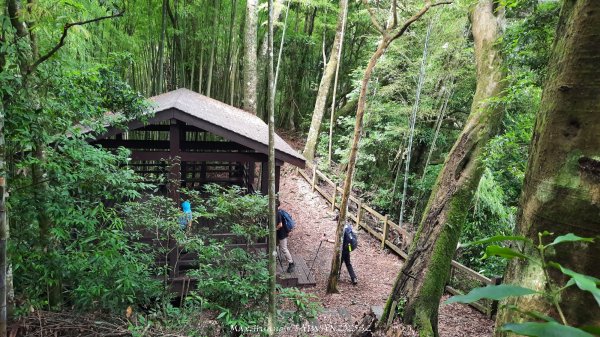 《雲林》望好望角｜石壁山嘉南雲峰步道(中側登山口）202506072805430