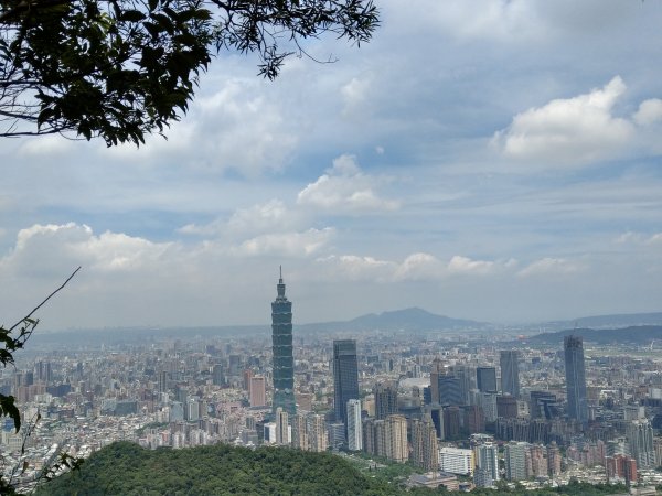 九五峰步道1453912