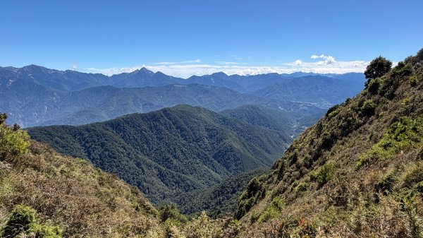 一日單攻桃山2903277