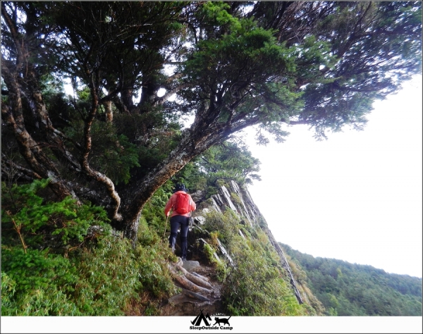 南投仁愛合歡北峰260527