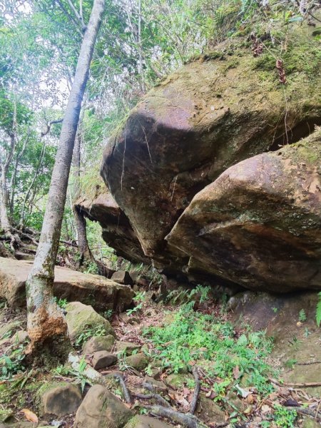 微笑山線五分山系菁桐-平溪-望古2881214