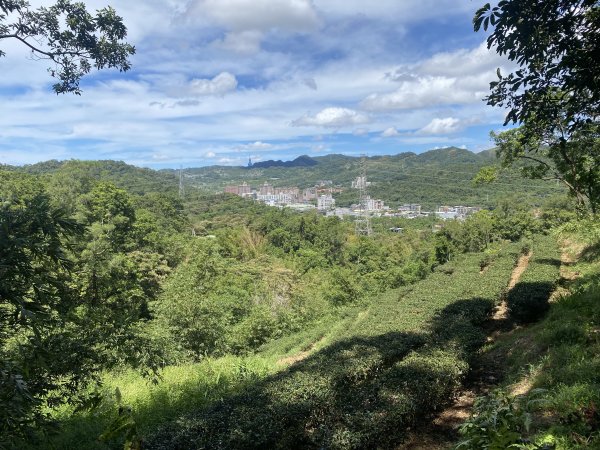 深坑 O 型環走｜大崎嶺步道・林家草厝・茶山古道・炮子崙瀑布（含冷門山徑）2895108