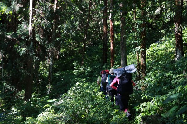 八仙山林場。清水臺2525942