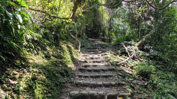 福山部落,內洞森遊區2552418