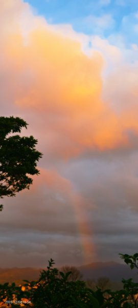 首登小百岳-南勢角山 12/62955894