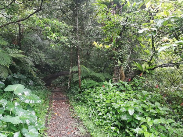 雨中漫步北部山岳-二格山、土庫岳、象山道1136710