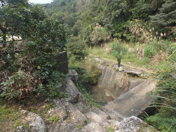 四份子古道、直潭山步道、二龍山、桐溪保甲路