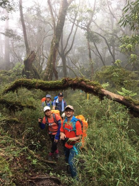 塔曼山，玫瑰西魔山 106.5.7(日)128673