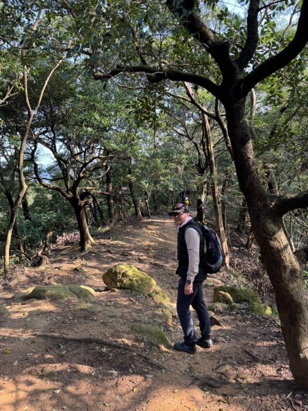 2025-0204 鶯歌_大凍山_三角埔頂山_迴龍2708034