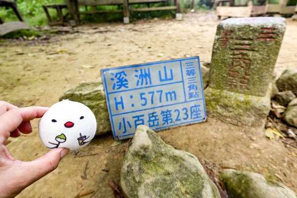 溪洲山小百岳｜福山巖登山步道