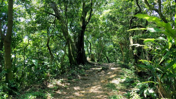 拳山古道,土地公嶺古道,中埔山古道,文山森林公園2578168