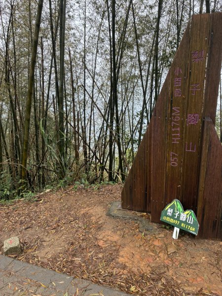20260406[公車]雲嘉連峰-二尖山+馬鞍山+梨子腳山+太平山+太平山西峰3031090