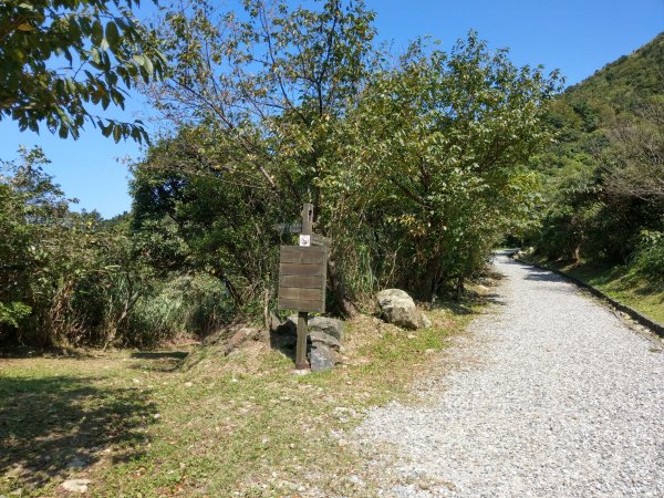 金瓜石地質公園-黃金神社693957