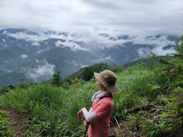 鵝公髻山採桃趣-202505302865280