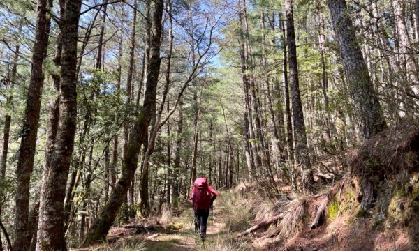 戀愛般的甘酸甜⋯ 閂山．鈴鳴山1342317