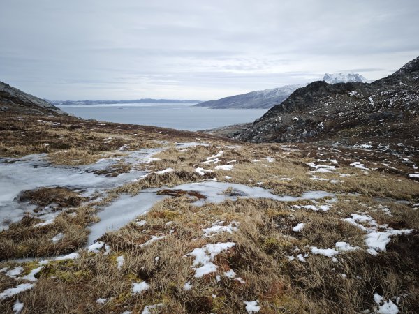 [紐約馬之行-47] 2025_1108 努克環狀步道 4/52951467