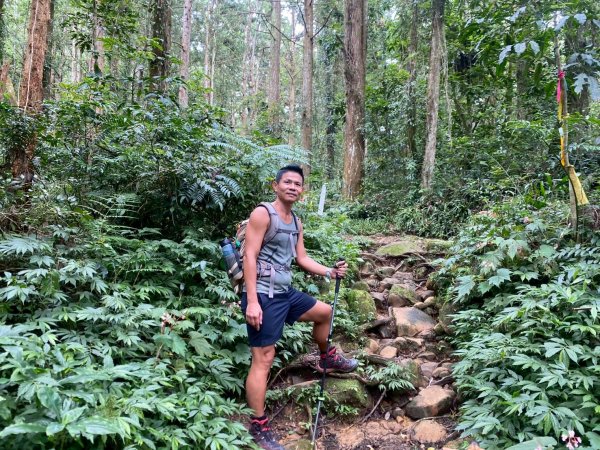 溪頭山-竹崙山-志騰山【夏日最愜意的避暑路線】2891502