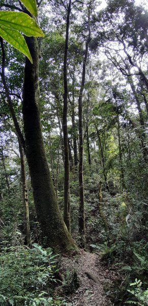 白姑大山之旅743402