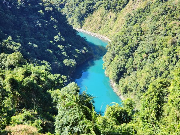 新北烏來｜內洞國家森林遊樂區步道群2904738