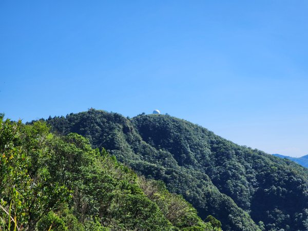 小百岳No.10⛰五分山2883154