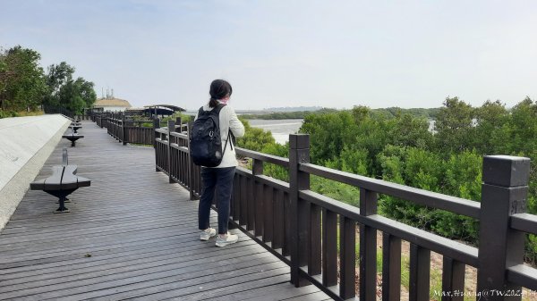 《台南》滄海桑田｜台江內海與黑面琵鷺野生動物保護區2675449