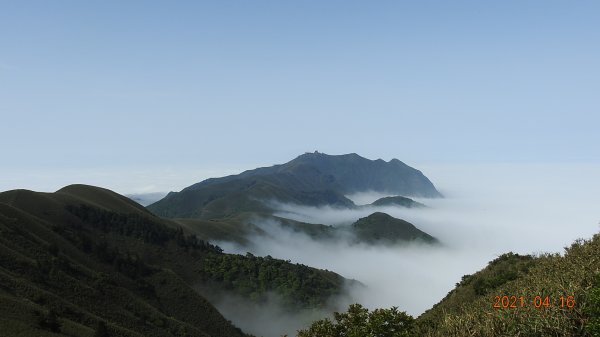 陽明山包場再見雲海04161350954