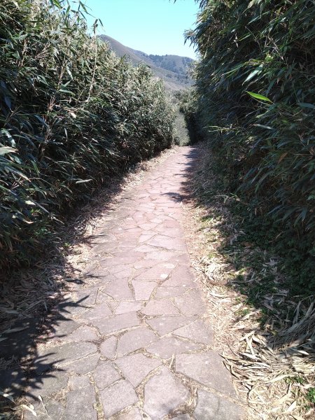【臺北大縱走第二段】小油坑至二子坪完成1263059