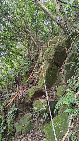 桃園金面山3077118