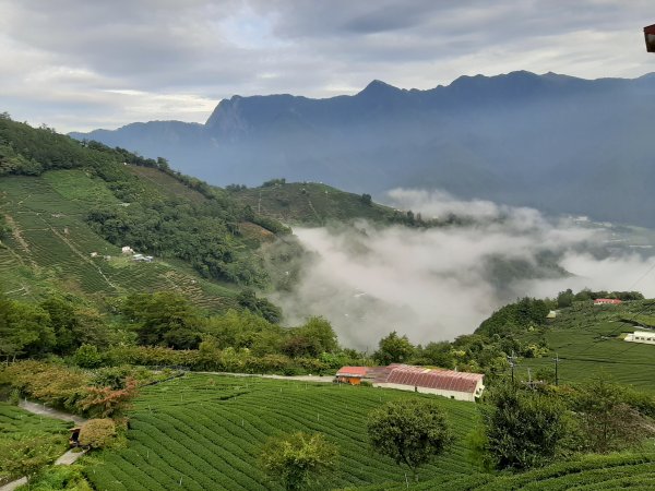 深秋。楓紅1190503