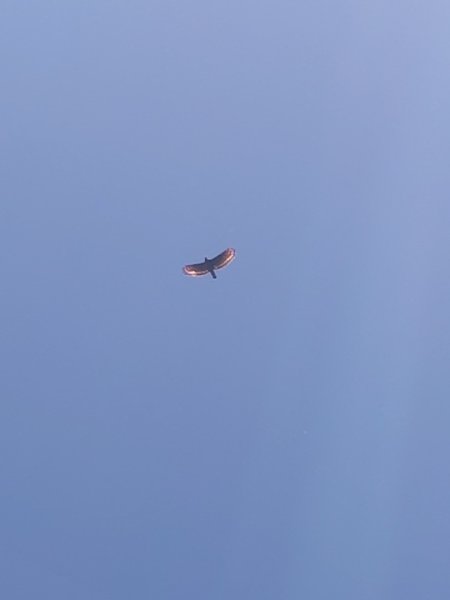 達娜伊谷-里美避難步道-巨石板步道-約富霓2788528