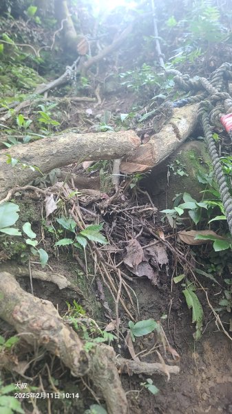 2025-0211造鎮_太極嶺_五城山小段攀爬路線2710729