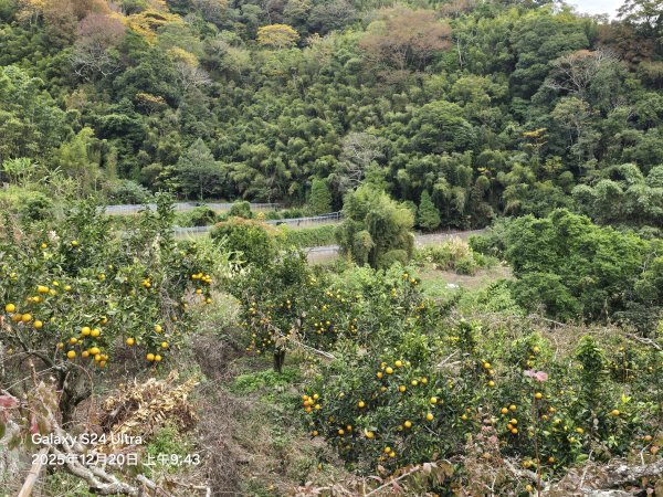 2025-12-20橫龍古道2967555